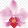 Avatar de Adriele S
